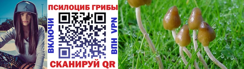 Галлюциногенные грибы прущие грибы Тосно
