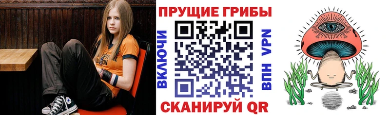 Галлюциногенные грибы GOLDEN TEACHER Тосно
